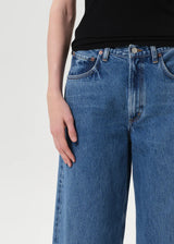 Agolde Jeans Low Curve Myth