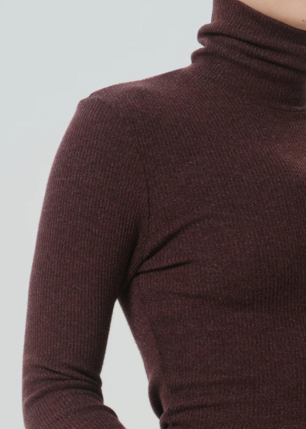 Citizens of Humanity Turtleneck Caradene Heather Mahogany