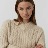 Friendly Hunting Jumper Carolo Bodhi