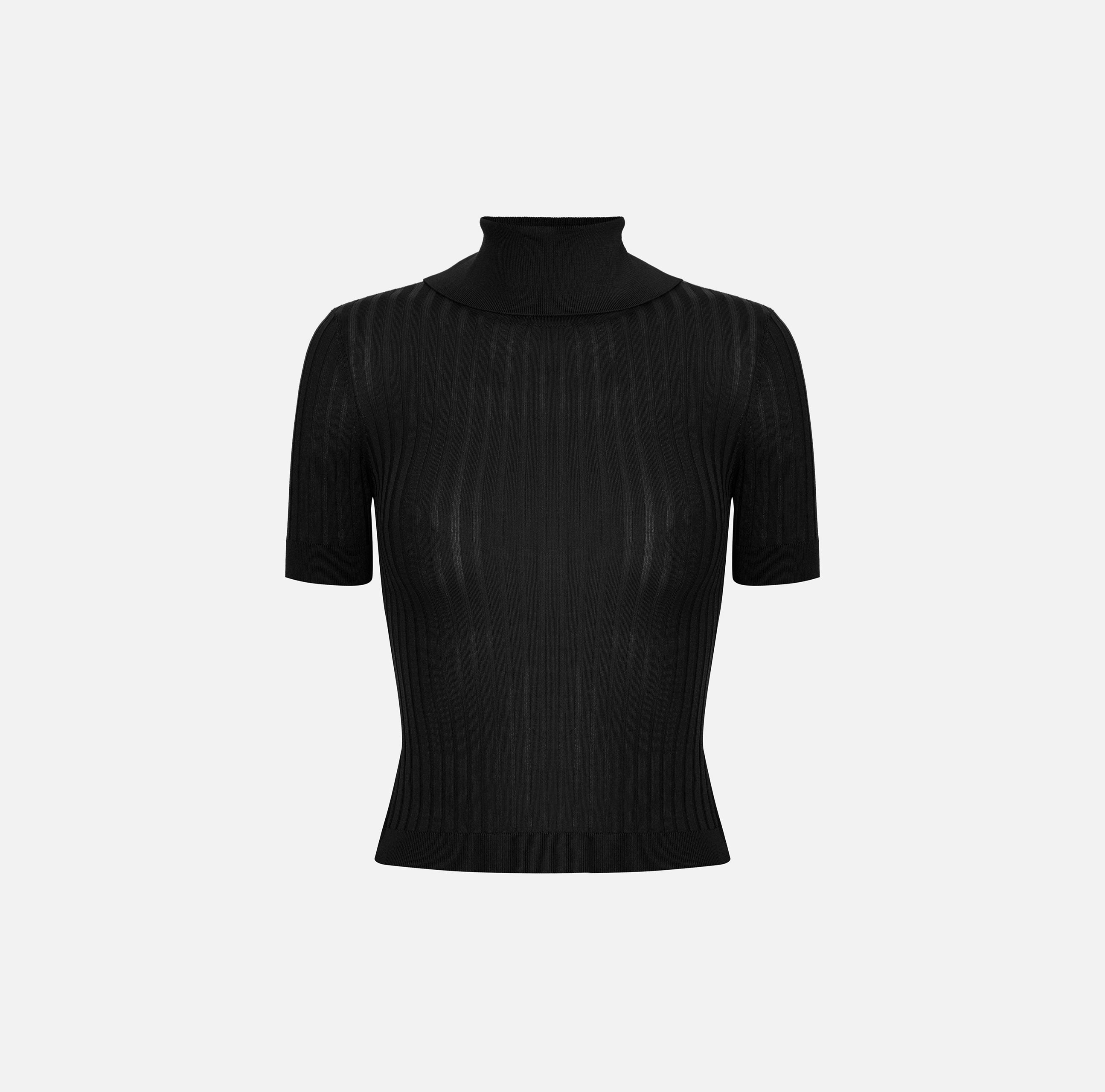 Elisabetta Franchi Top Sheer Knit
