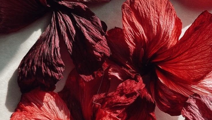 Hibiscus Mood