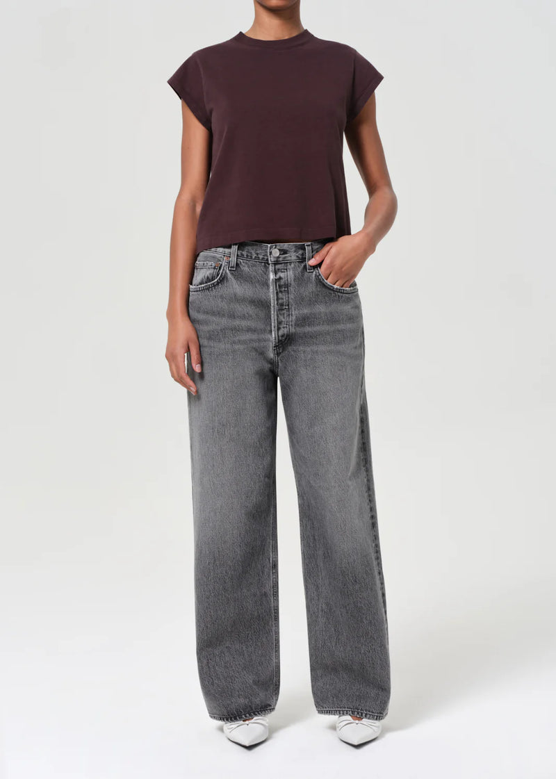 Agolde Jeans Low Slung Spirit