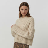 Friendly Hunting Jumper Carolo Bodhi